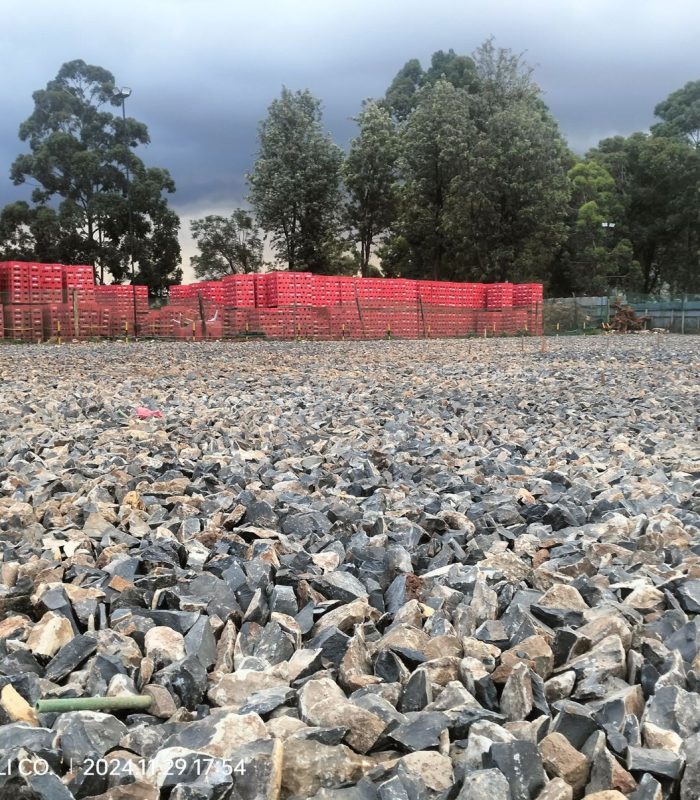 WhatsApp Image 2025-07-18 at 14.03.00