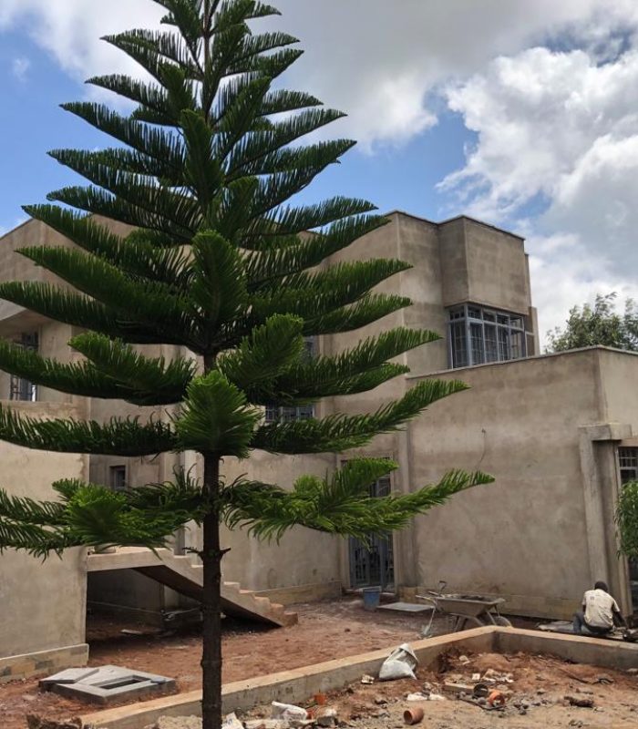 WhatsApp Image 2025-08-15 at 23.02.35 (2)